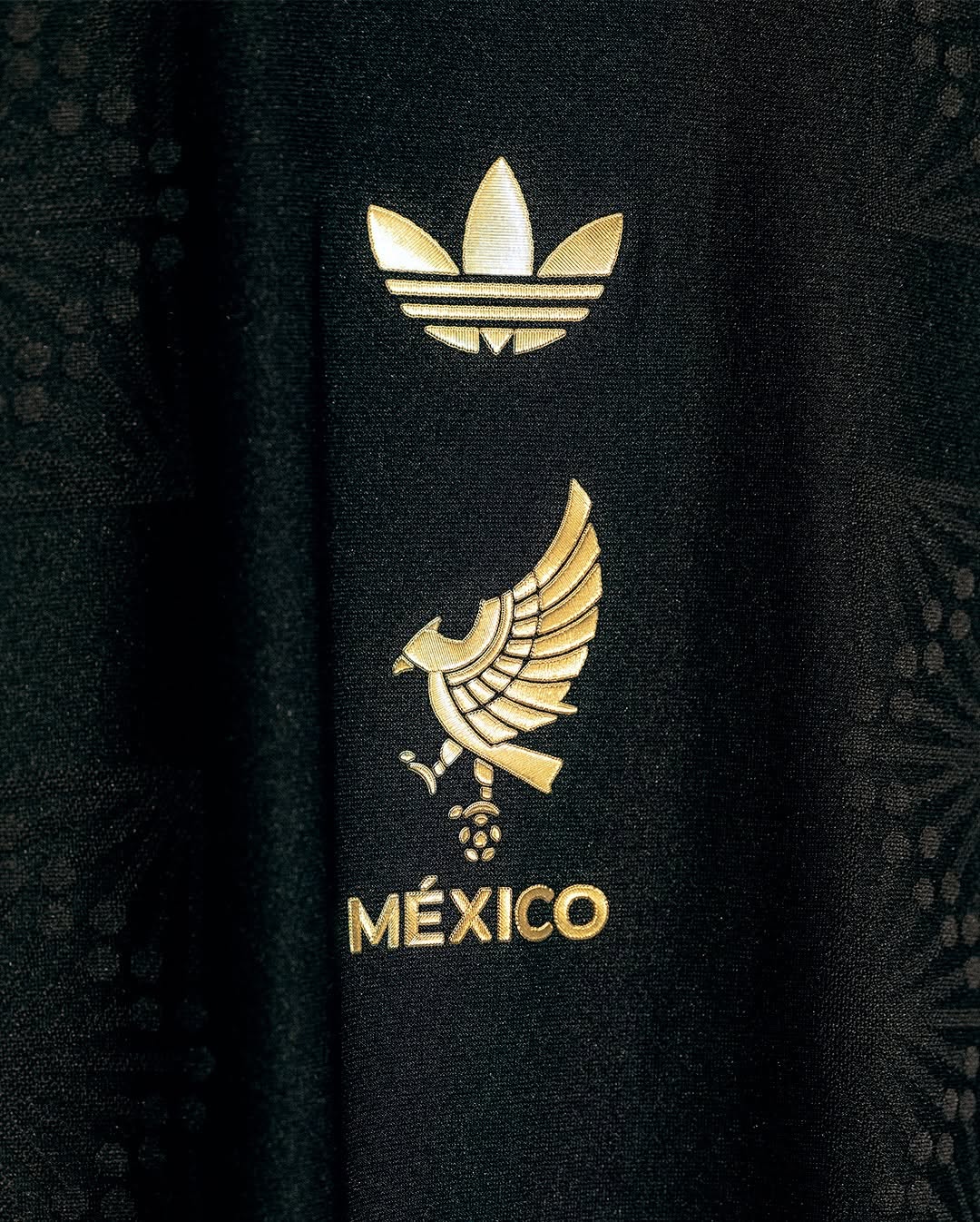México de Oro Jersey