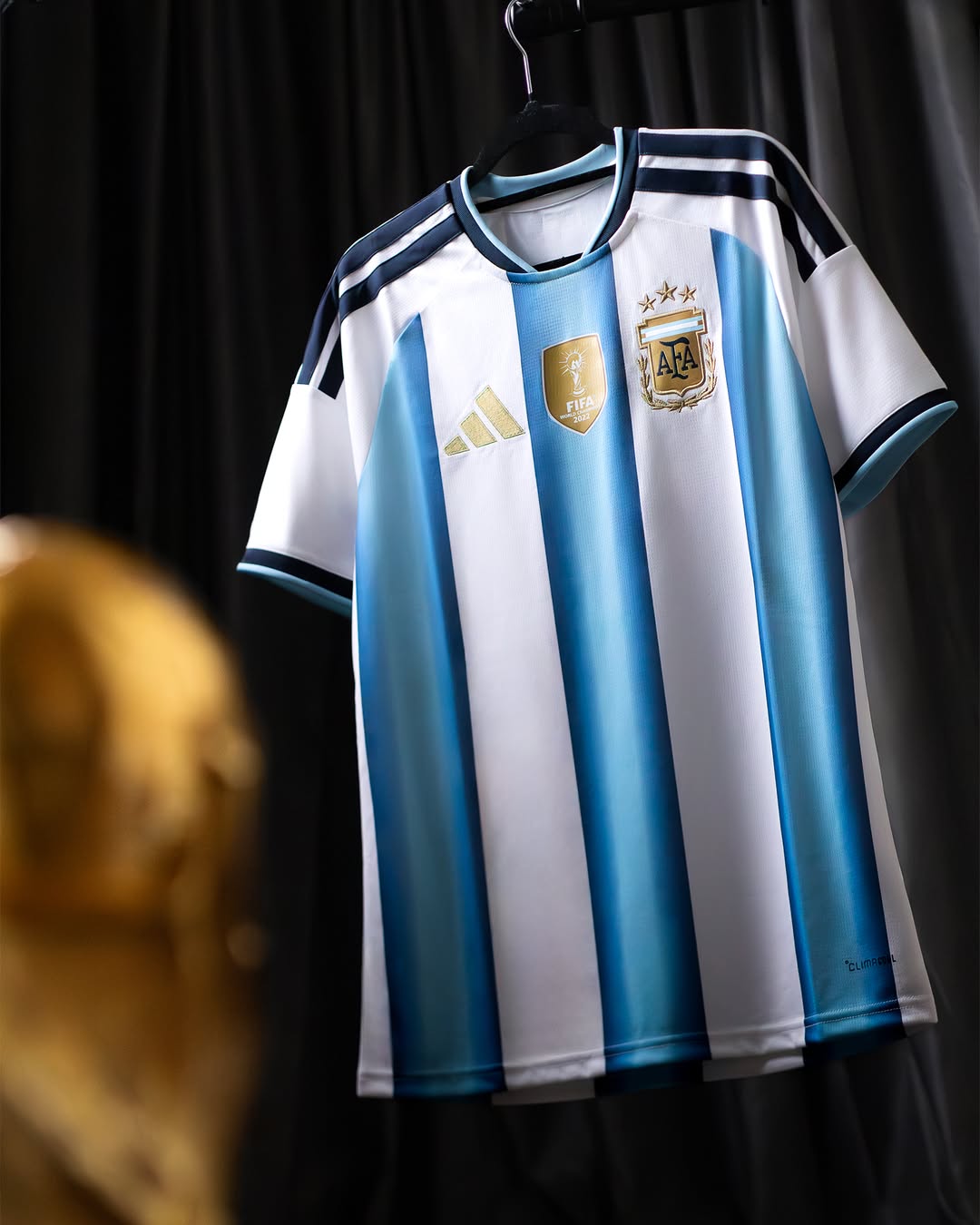 Argentina 2026 World Cup Home Jersey (Fan Version)