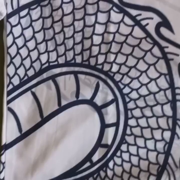 Real Madrid White Dragon Set (With Shorts) – adidas Football Jersey – Video