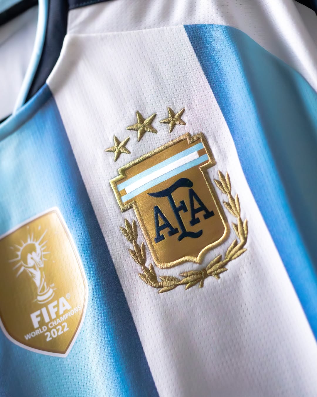 Argentina 2026 World Cup Home Jersey (Fan Version)
