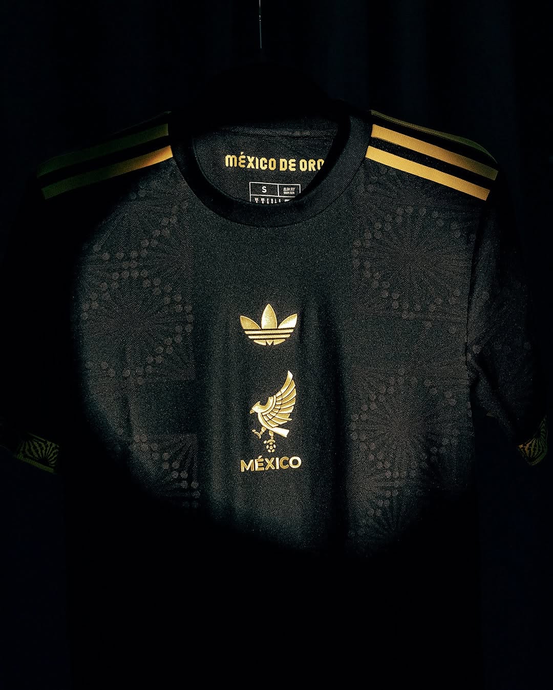 México de Oro Jersey