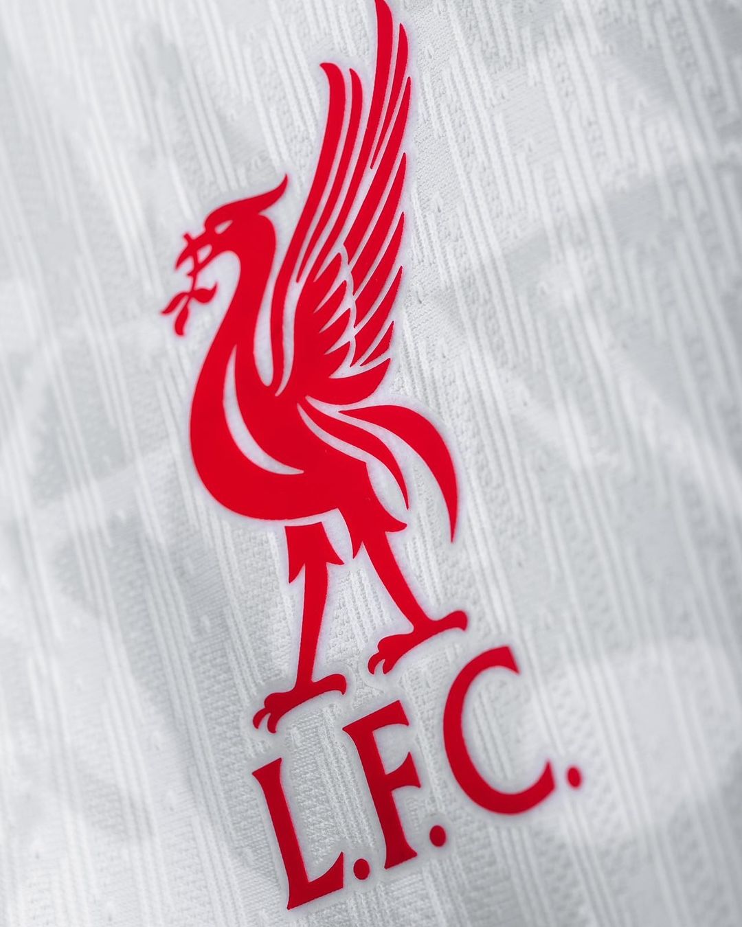 Liverpool 2024 Third Jersey (Fan Version) Jerseys Jersey Nike Football Jerseys India Online